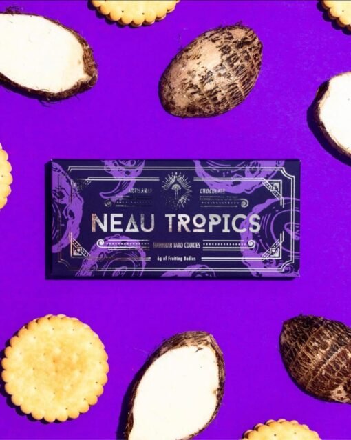 neau tropics